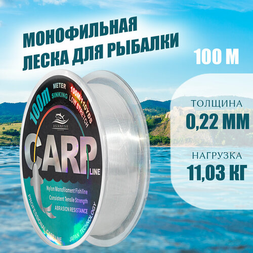 фото Леска carp 100м 0,22мм asianfish