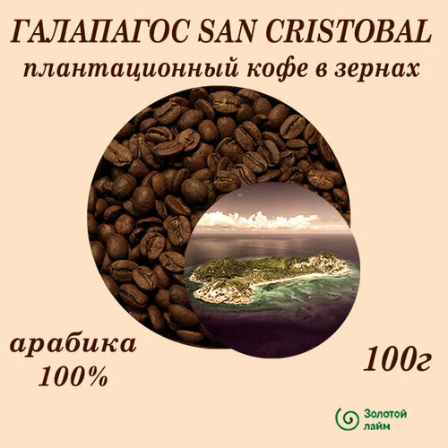 Галапагос SAN CRISTOBAL плантационный кофе в зернах 100г