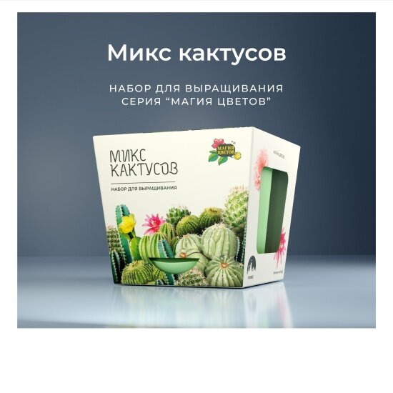 Набор для выращивания растений Магия Цветов Кактусы микс, mf-003
