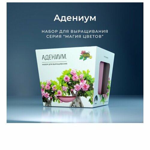 Набор для выращивания растений Магия Цветов Адениум, mf-001