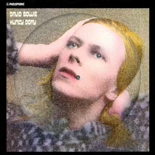 Виниловая пластинка Warner Music David Bowie - Hunky Dory (50th Anniversary Edition)(Picture Disc)(LP) виниловая пластинка warner music david bowie the man who sold the world limited edition picture disc