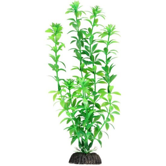 Растение Laguna "Гемиантус" зеленый, 300мм