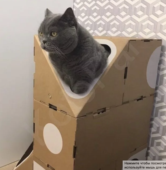 Набор домиков-коробок из картона для кошек - фотография № 7