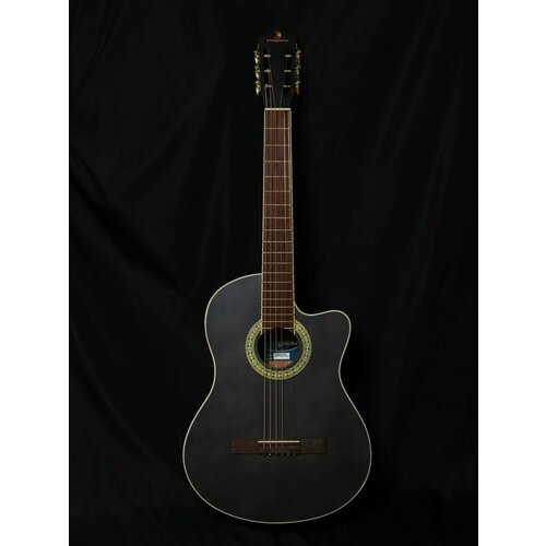 Гитара Livingstone Folkblues BK 39