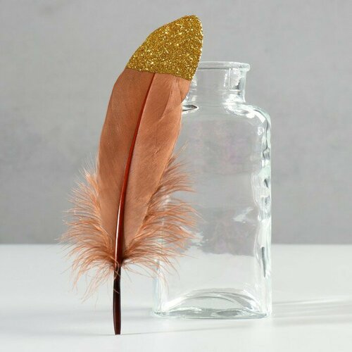 Набор перьев гуся 15-20 см 10 шт коричневый с золотой крошкой 411₽