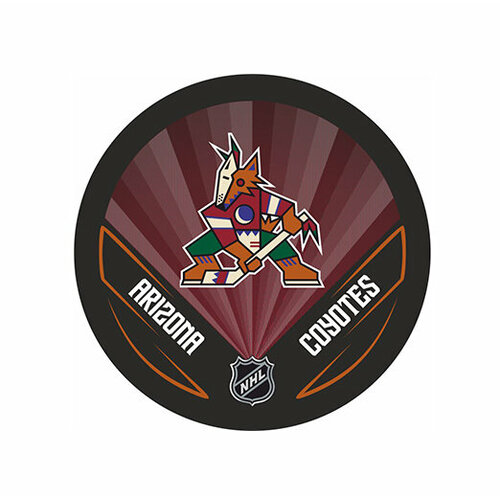 Шайба Rubena NHL 2022 Arizona Coyotes