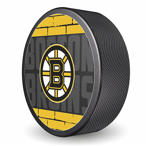 Шайба Rubena NHL 2023 Boston Bruins