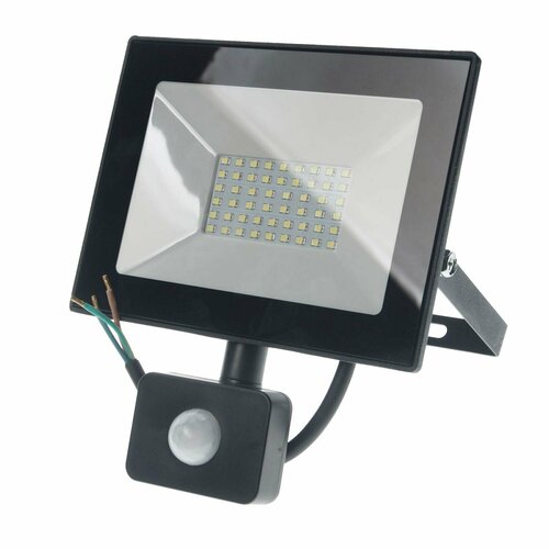 Прожектор светодиодный 50W 6500K с датчиком движения 220V ULTRA FLASH