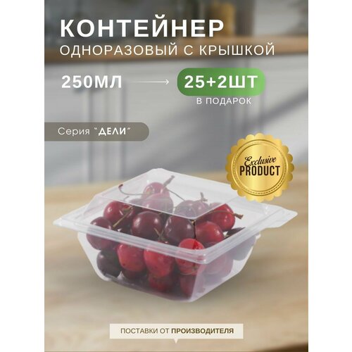 Контейнер одноразовый прозрачный с крышкой Каштан Дели пластиковый объем 250 мл набор контейнеров 25 шт 2 шт в подарок 590₽