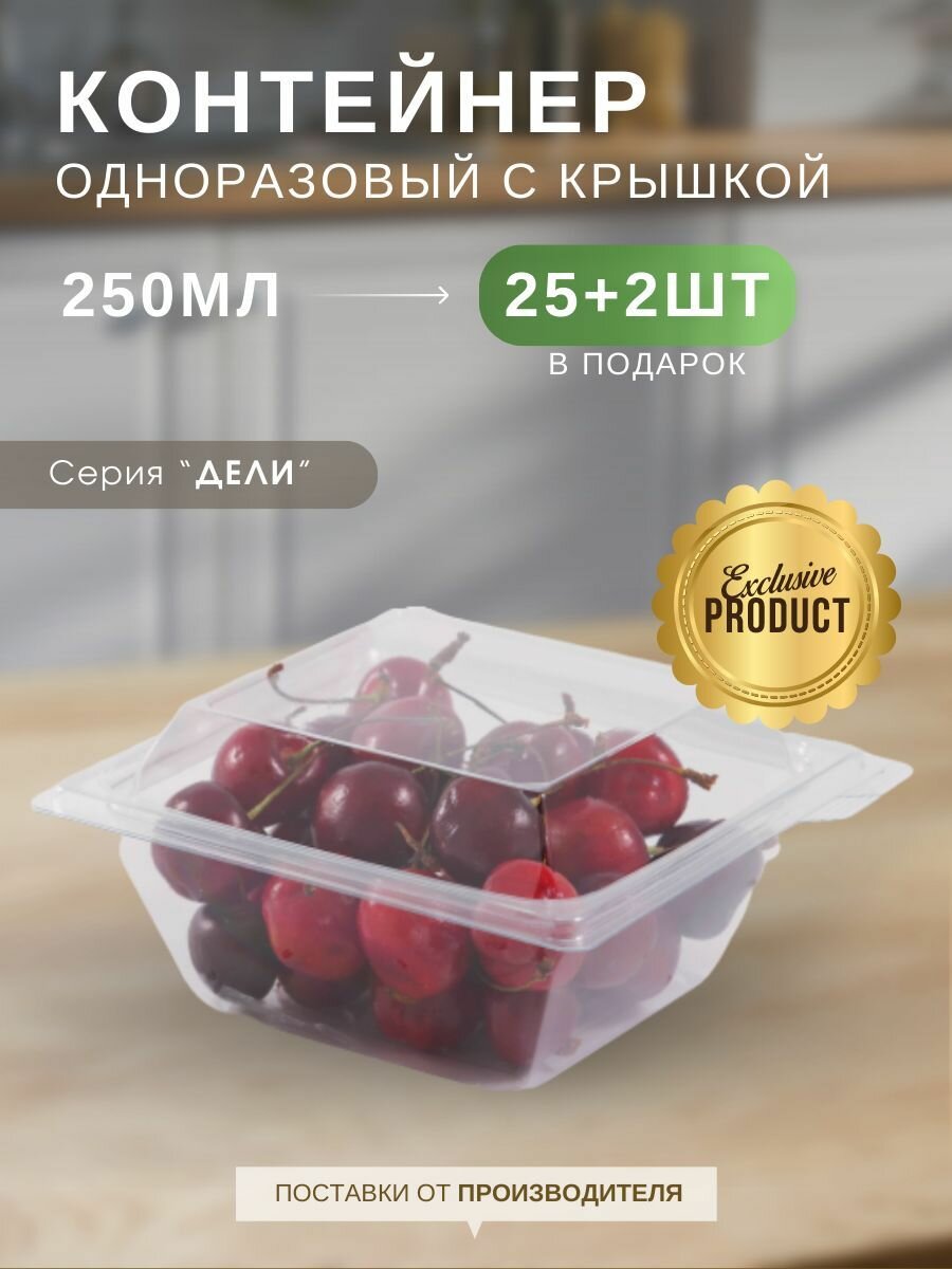 Контейнер одноразовый прозрачный с крышкой Каштан Дели, пластиковый объем 250 мл, набор контейнеров 25 шт ( + 2 шт в подарок)