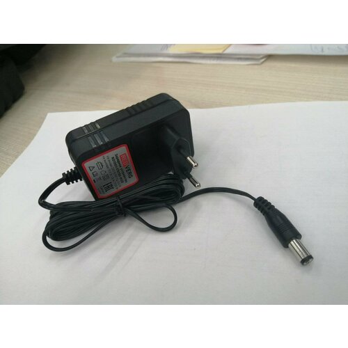 Зарядное устройство RD-SD10L2Y-777 150000₽