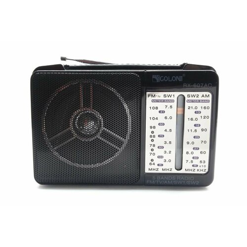 Радио RX-607AC Golon 220V 177100₽