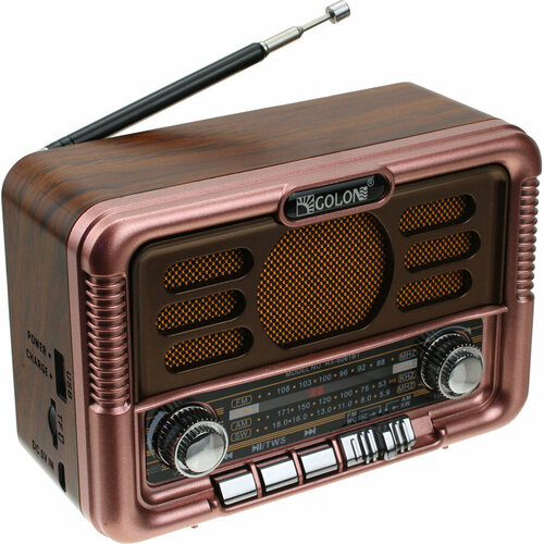 Радио RX-6061BT Golone USBSDmicroSD ACC 141800₽