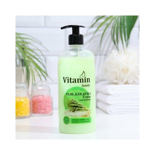 Гель для душа VITAMIN Family 