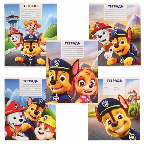 Тетрадь 12 листов, 5 видов микс, клетка, Paw Patrol, 10 штук