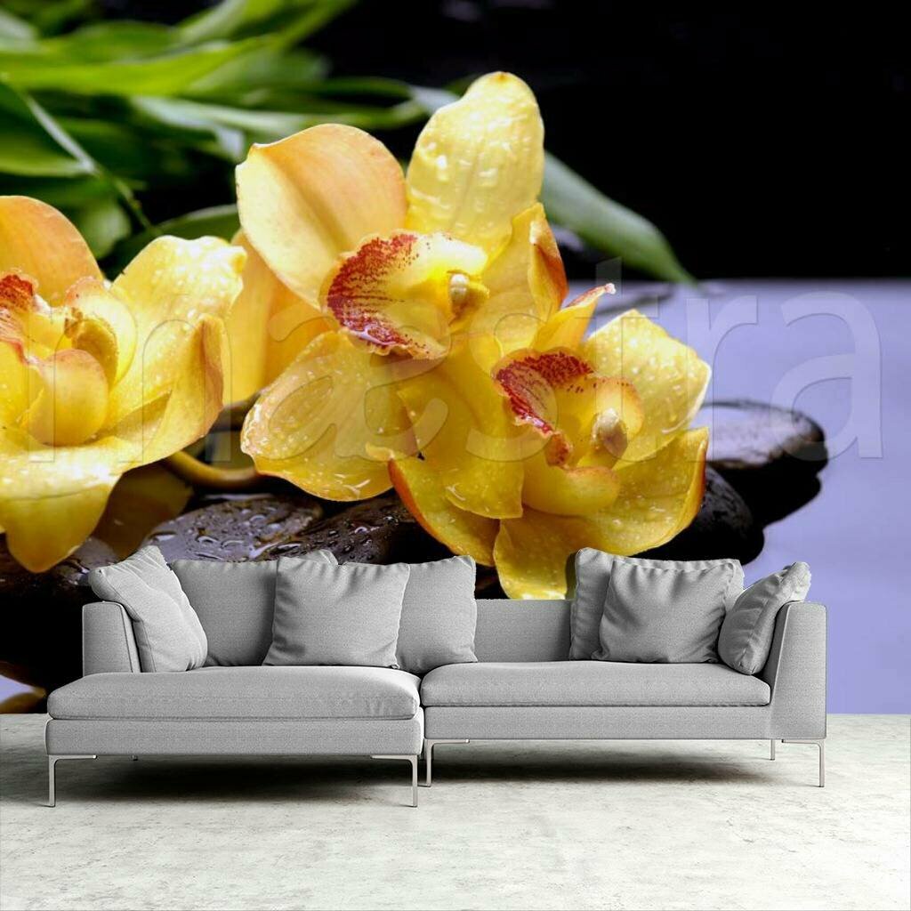 Фотообои Желтая орхидея 275x415 (ВхШ), бесшовные, флизелиновые, MasterFresok арт 4-001