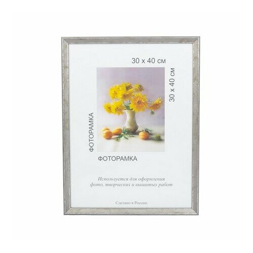Рамка пластиковая с оргстеклом МРП-17 30х40 см цвет светло-серый