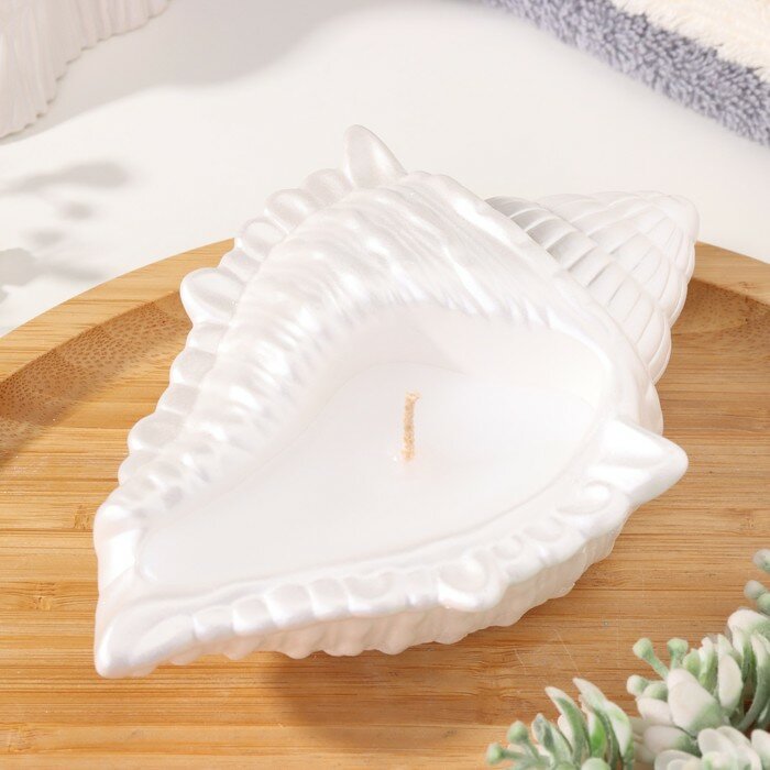 фото Дарим Красиво Свеча "Ракушка" в подсвечнике из гипса большая, 17х11х5,5см, белый перламутр