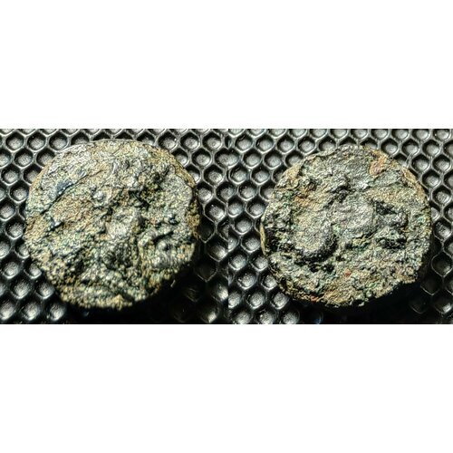 Левкон I, 390-350 гг до н. э. Лепта Голова Барана (Овен). Античные монеты Пантикапей Боспорское царство