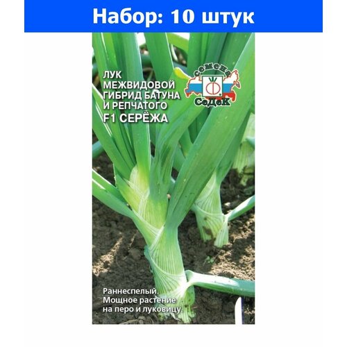 Лук батун Сережа F1 0,3г Ранн (Седек) - 10 пачек семян лук батун молодец 1г ранн седек 10 пачек семян