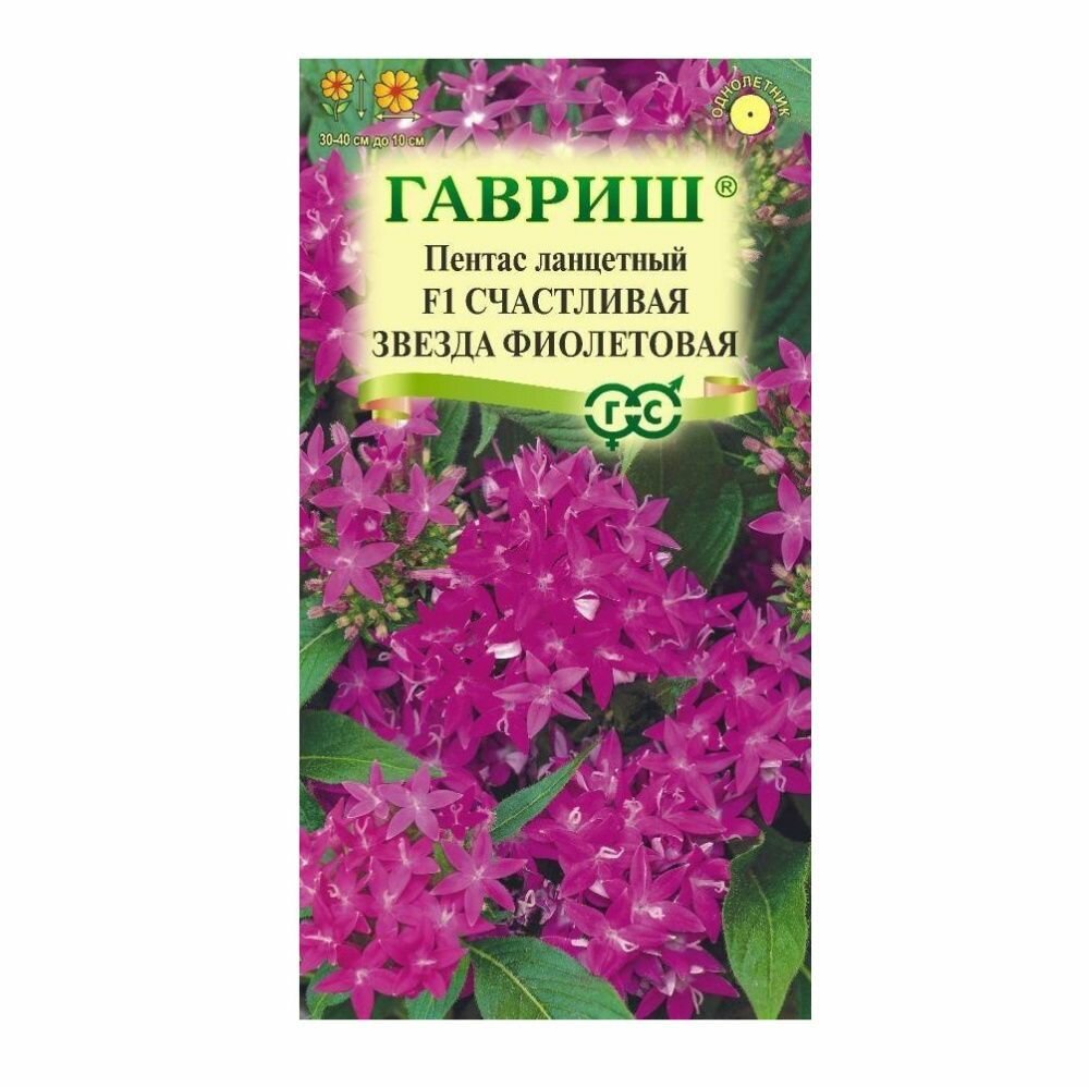 В заказе: 10 пачек семян / Пентас Счастливая звезда фиолетовая ланцетный F1 3шт Одн 40см (Гавриш) Н23