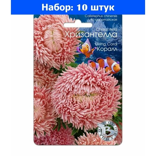 Астра Хризантелла Коралл хризантемовидная 30шт Одн 80см (Биотехника) - 10 пачек семян