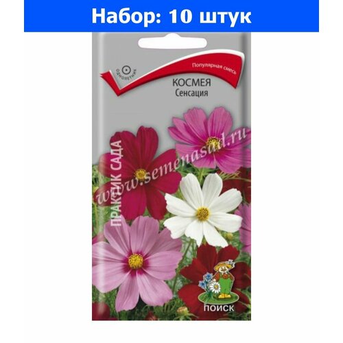 Космея Сенсация 0,3г Одн 90см (Поиск) - 10 пачек семян космея золотая свадьба 10шт одн 60см поиск 10 пачек семян