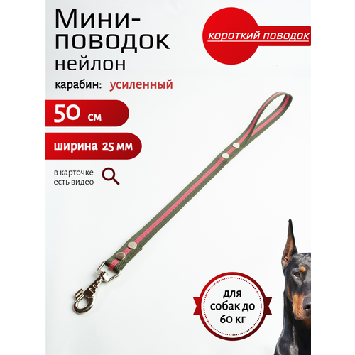 Поводок Хвоствтыч для собак с карабином нейлон 50 см х 25 мм (Зелено-красный)