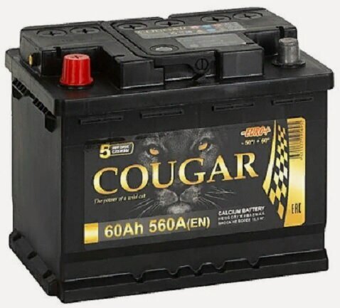 Изображение товара Аккумулятор автомобильный Cougar Power 60 А/ч 560 А прям. пол. Росс. авто (242x175x190)