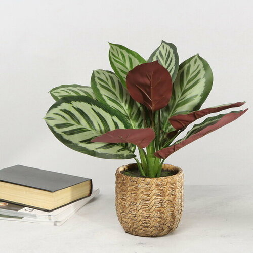 Kaemingk Искусственное растение в горшке Calathea 38 см 804015