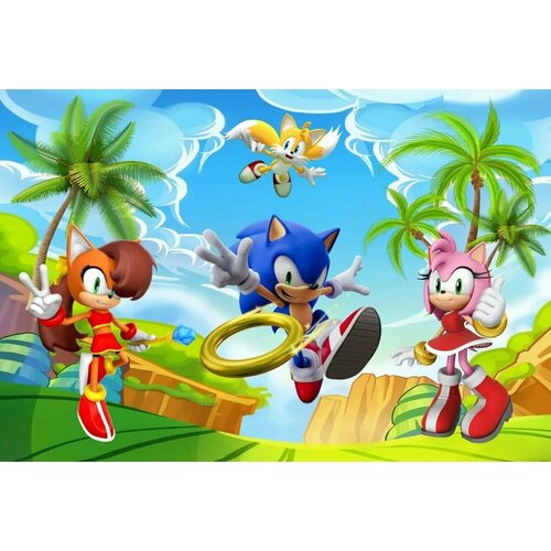 Фотообои на флизелине Соник в детскую 390х270мм 3999₽