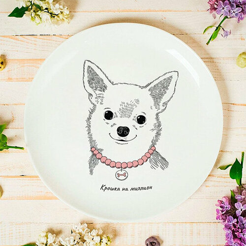 Тарелка 'Чихуахуа' (разные дизайны) / Девочка