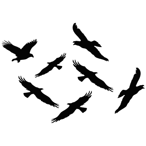 Наклейки-стикеры: силуэты хищных птиц (21 x 30) см - V8 Комплект 50 штук