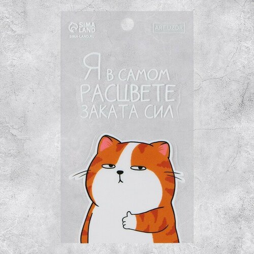 Наклейки на телефон «Закат», 8 × 14 см