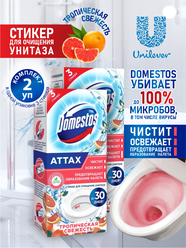 Domestos Стикер для очищения унитаза Тропическая свежесть 30 гр. 3 шт./упак. х 2 упак.