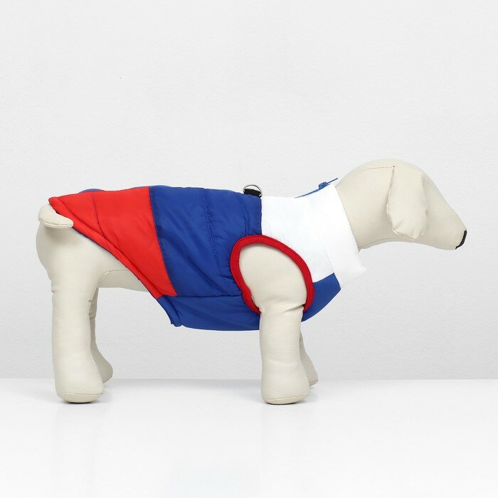 Куртка для собак "Патриот", размер S (ДС 22, ОГ 37 см) - фотография № 2