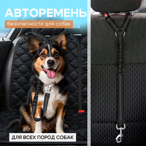 Ремень безопасности для собак / Автомобильный ремень безопасности для животных