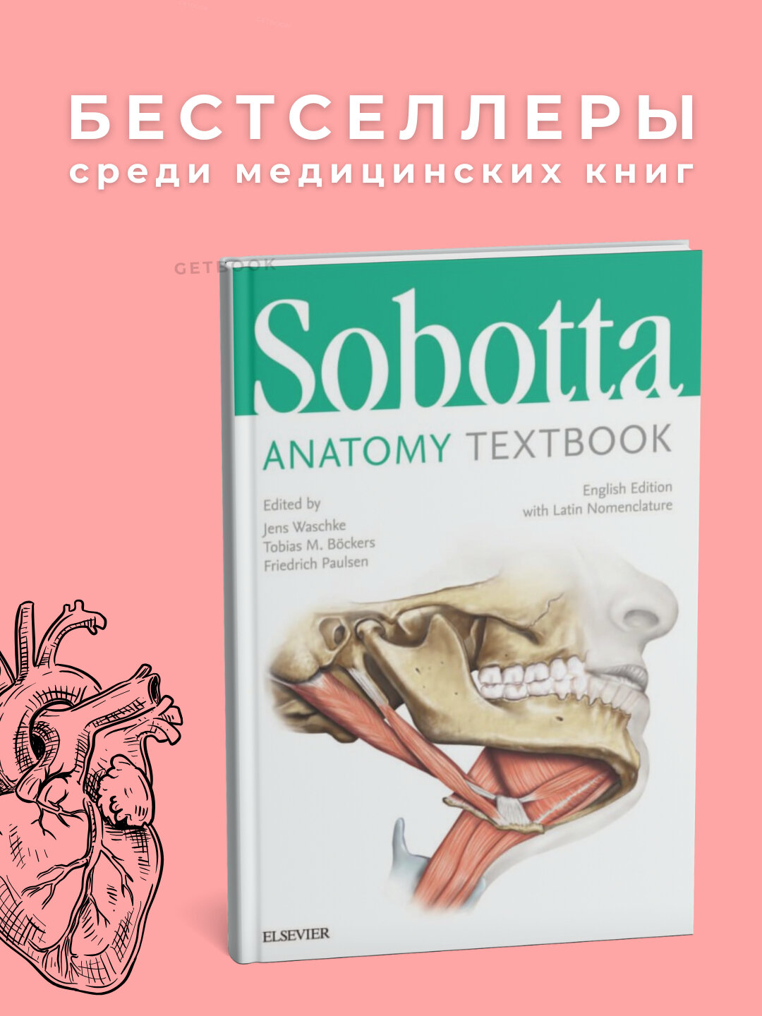 Книга "Соботта Анатомия ТЕХТБООК", 822 страницы, черно-белые иллюстрации