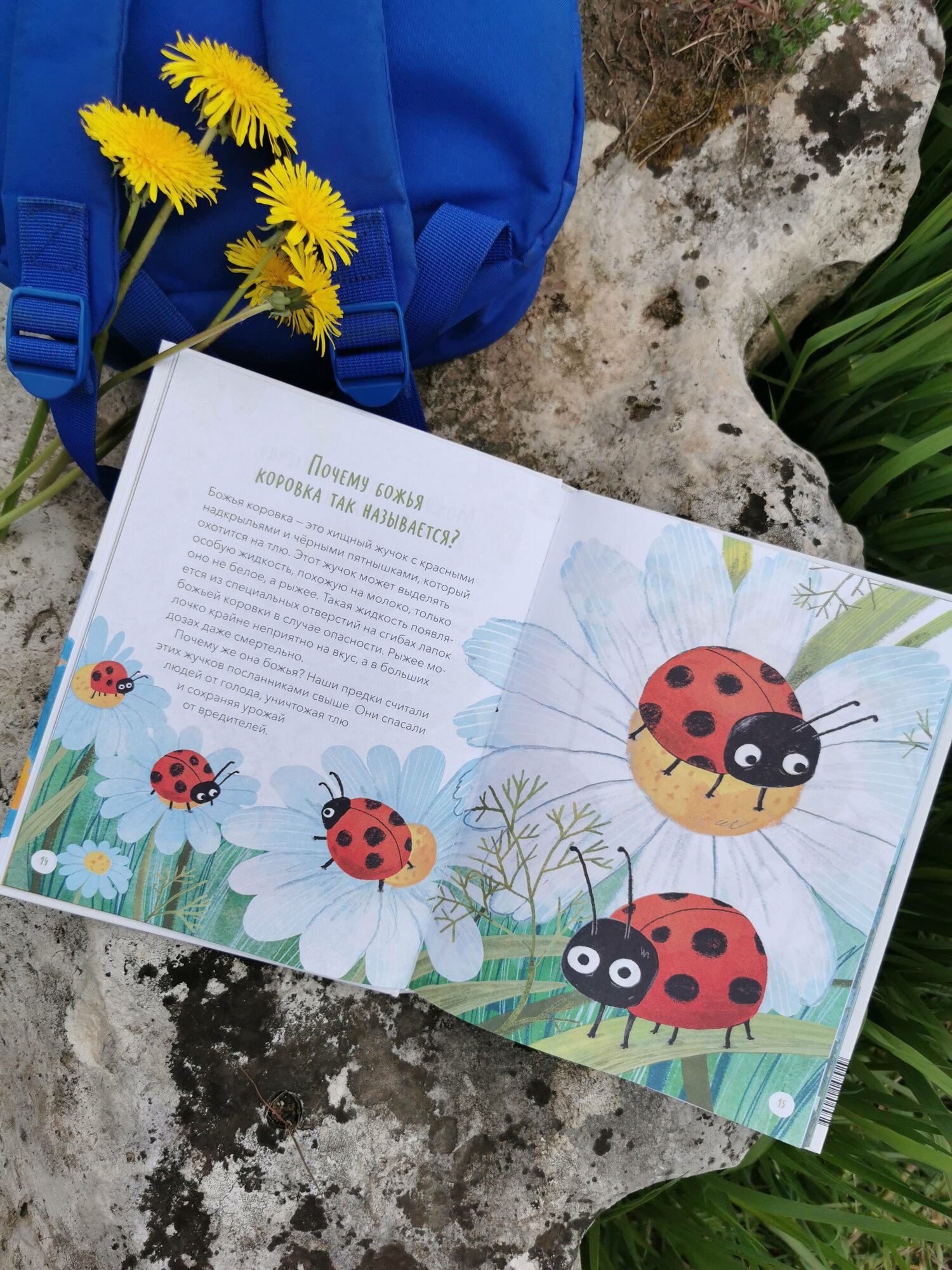 Что, где и почему? (Толмачев Александр Вячеславович) - фото №10