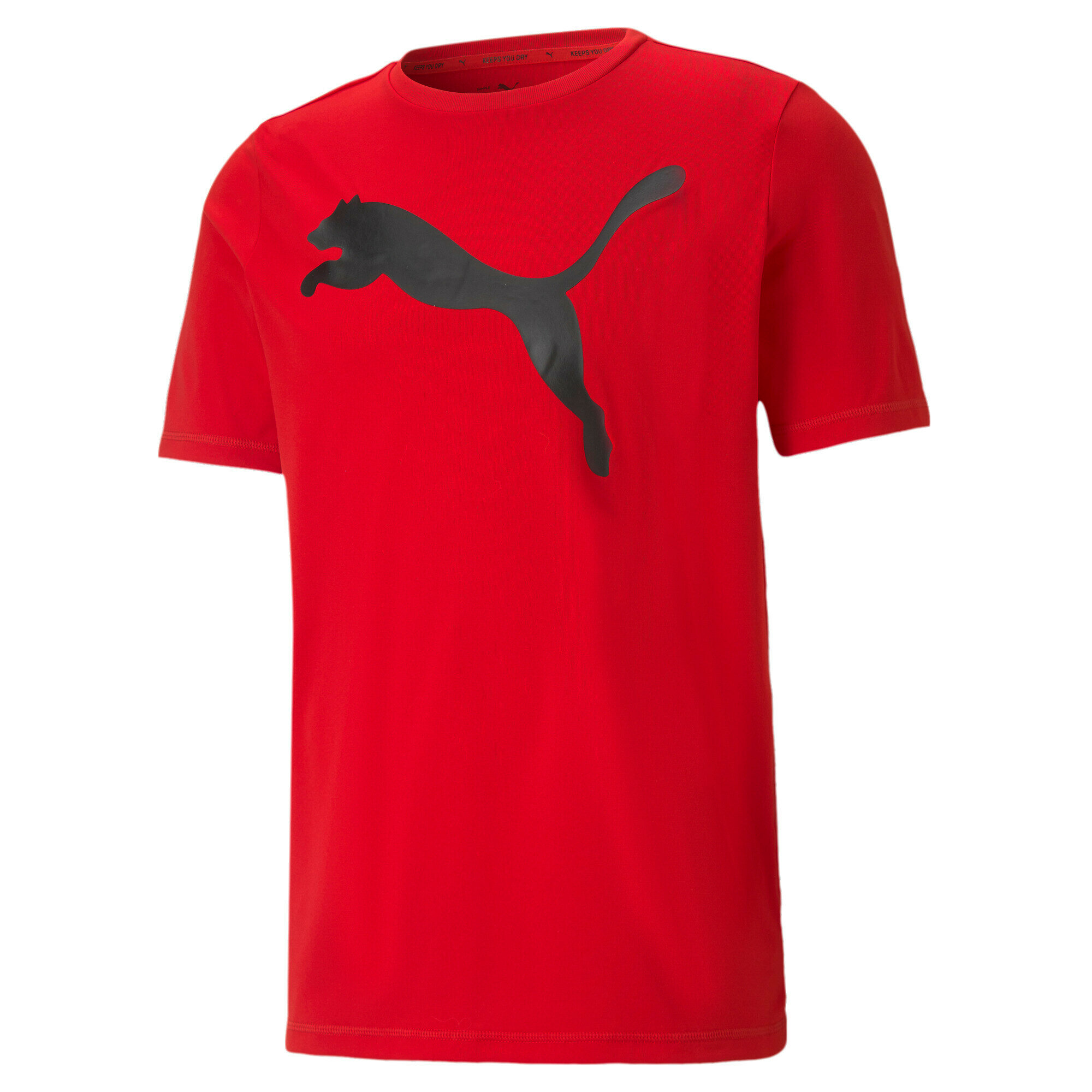 Футболка спортивная PUMA Active Big Logo Tee