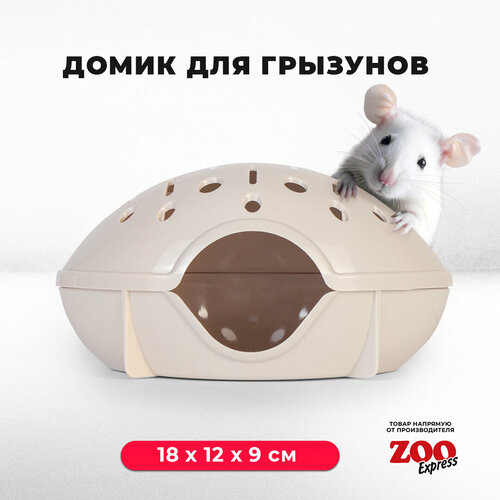 домик zooexpress для грызунов хомяков крыс и мышей 18х12х9 см без дверцы оранжевый Домик ZOOexpress для грызунов, хомяков, крыс и мышей, 18х12х9 см, без дверцы, бежевый