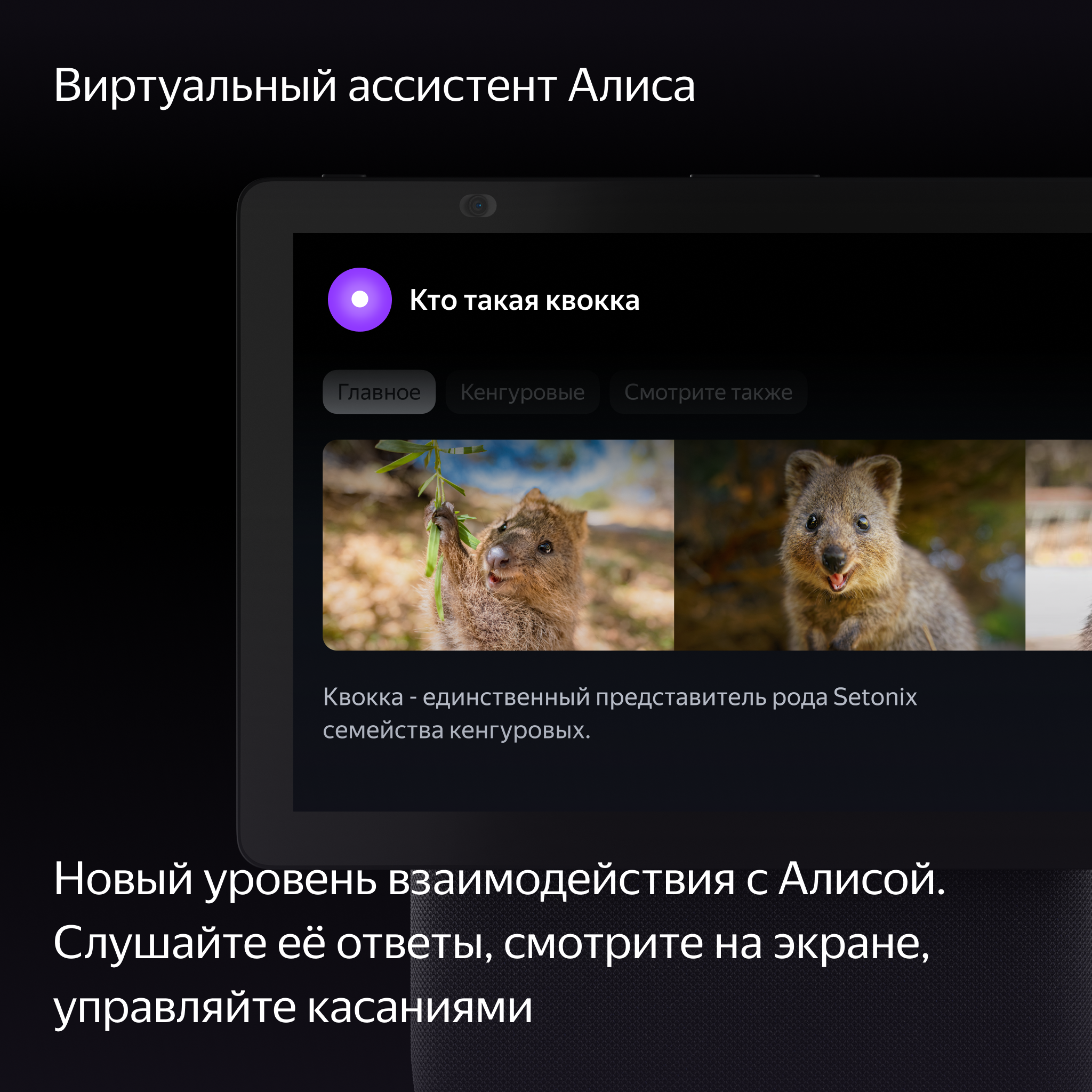 Умная колонка яндекс Станция Дуо Макс Zigbee, 60Вт, с Алисой на YaGPT, черный [yndx-00055blk]
