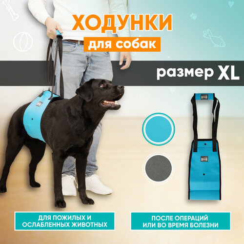 Задняя поддержка для собак, ходунки для собак, Mr Dog голубая, XL задняя поддержка для собак mr dog голубая m