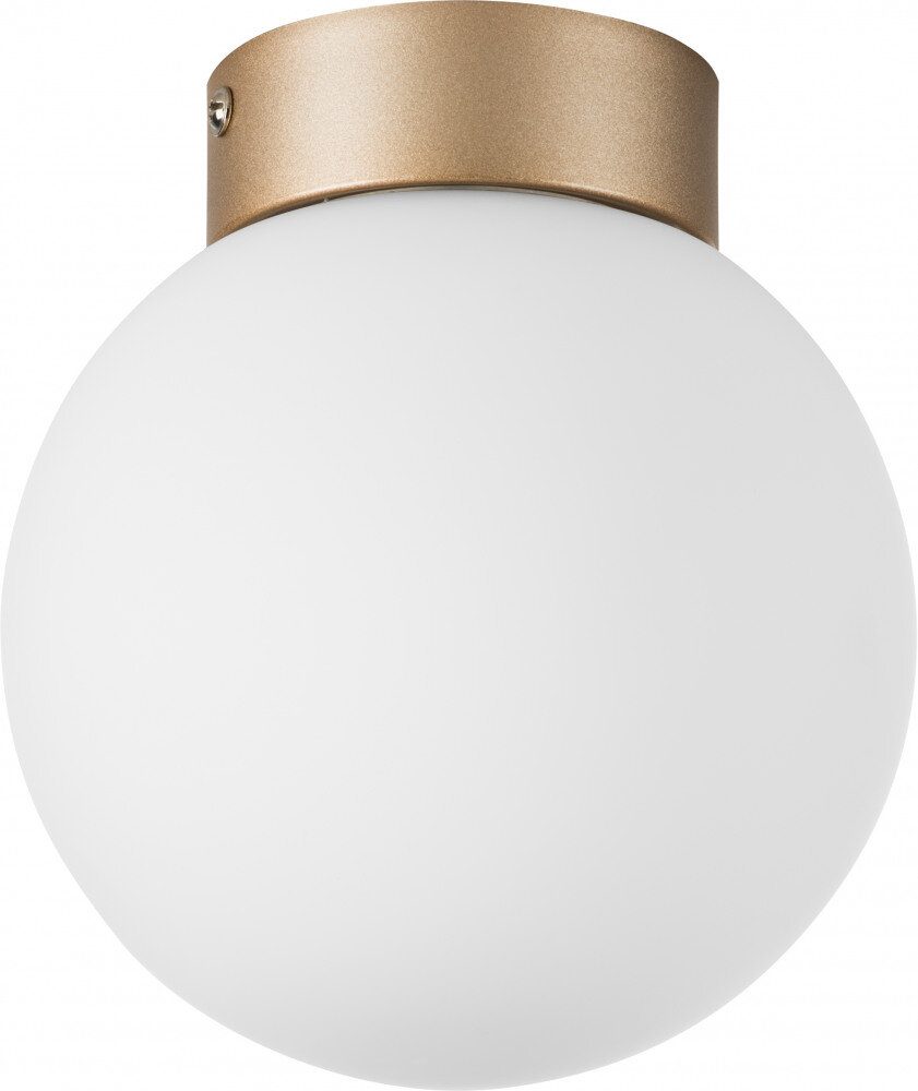 Потолочный светильник Globo 812013