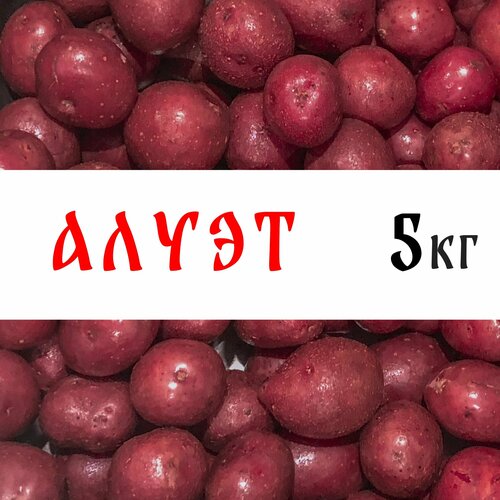 Семенной картофель сорта Алуэт 5кг, клубни