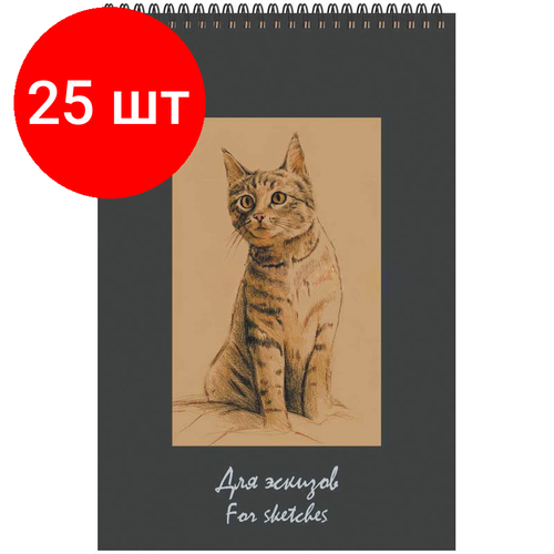 Комплект 25 шт, Скетчбук 50л, А5 Лилия Холдинг Котенок, на пружине, бумага крафт, 75г/м2 блокнот для эскизов лилия холдинг малый формат 120х180 мм 50 листов 70 г м2 крафт бумага гребень котенок бэк