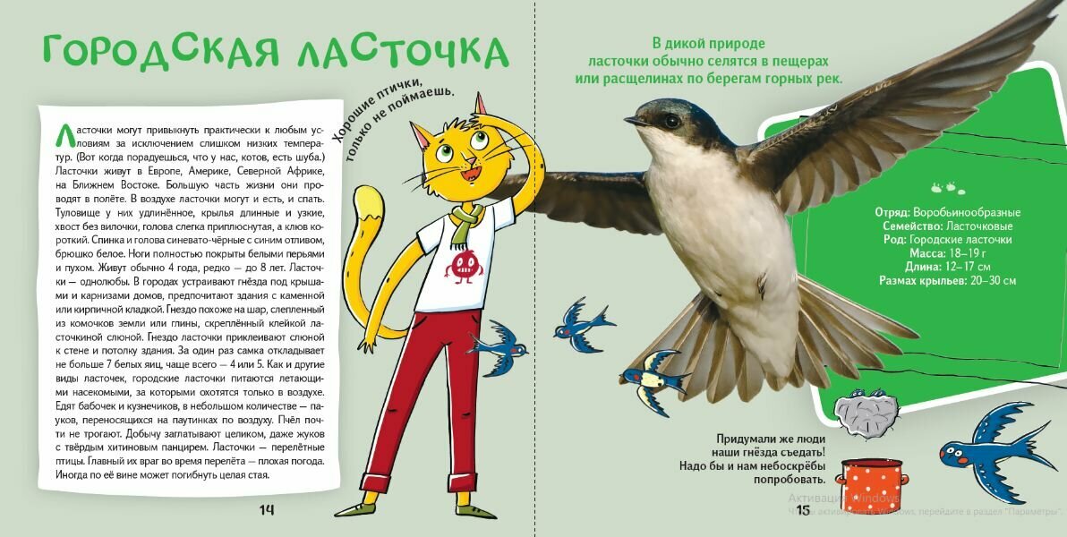 Кот Брюс и городские птички (Егорова София Евгеньевна) - фото №5