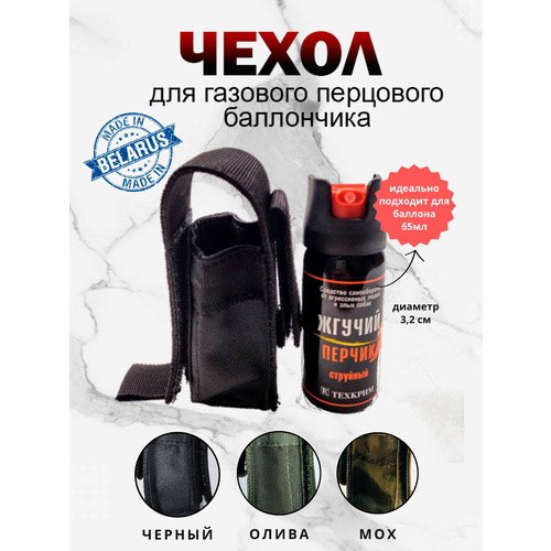 Чехол для газового баллончика MOLLE Дейси про черный