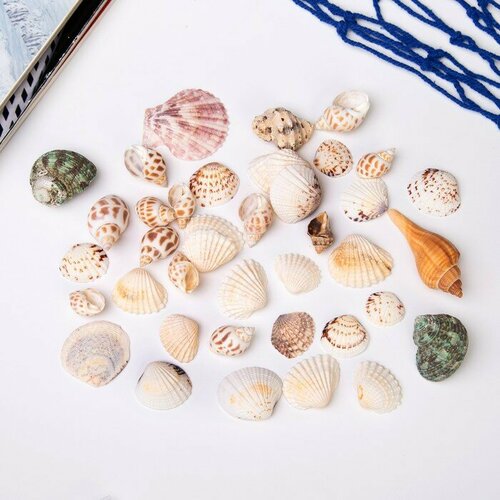 Набор декора Море 629₽