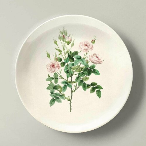 Декоративная тарелка с подвесом Диаметр: 200мм Роза кустовая